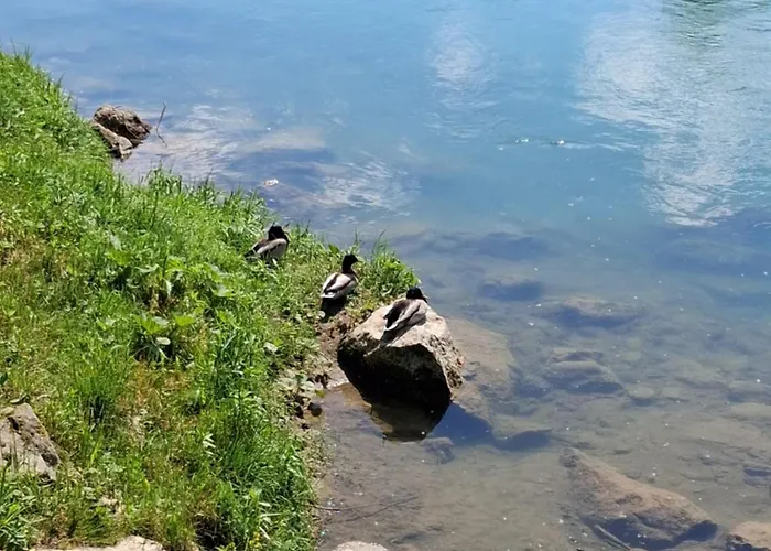 Camping Land For Your Tent Next To A River Price Includes Lands In Croatia And Bosnia As Well Use The Pinpoint Location And Not My Address Beblerjev Trg To Get To Your Bathroom Is A Bit Different So Check Youtube Video Duskothreecountries