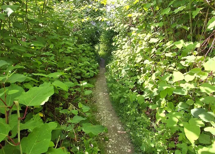 Kemp Land For Your Tent Next To A River Price Includes Lands In Croatia And Bosnia As Well Use The Pinpoint Location And Not My Address Beblerjev Trg To Get To Your Bathroom Is A Bit Different So Check Youtube Video Duskothreecountries