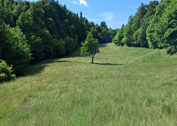 Land For Your Tent Next To A River Price Includes Lands In Croatia And Bosnia As Well Use The Pinpoint Location And Not My Address Beblerjev Trg To Get To Your Bathroom Is A Bit Different So Check Youtube Video Duskothreecountries リュブリャナ