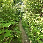 Camping Land For Your Tent Next To A River Price Includes Lands In Croatia And Bosnia Too Use The Pinpoint Location Not The Address Beblerjev Trg To Get Here Bathroom Is A Bit Different So Check Youtube Video Duskothreecountries Open Showers In A Nearby Camp